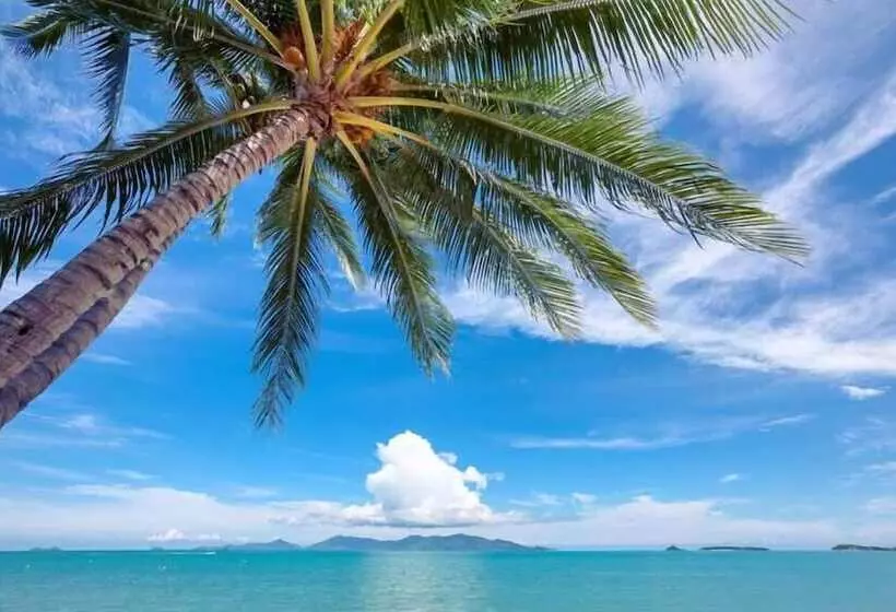 Fotos del hotel The Lodge:  19