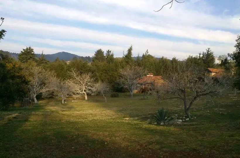 Fotos del hotel La Tierra Grande:  3