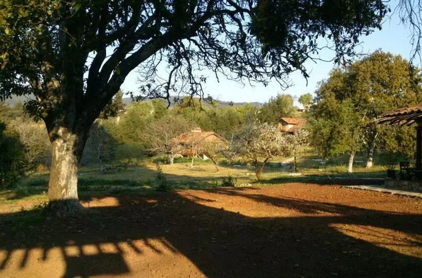 Fotos del hotel La Tierra Grande:  7