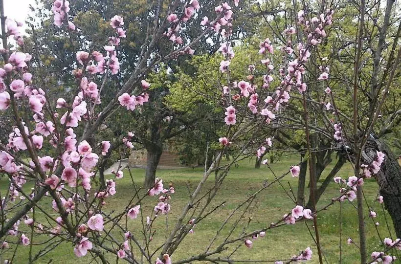 Fotos del hotel La Tierra Grande:  13