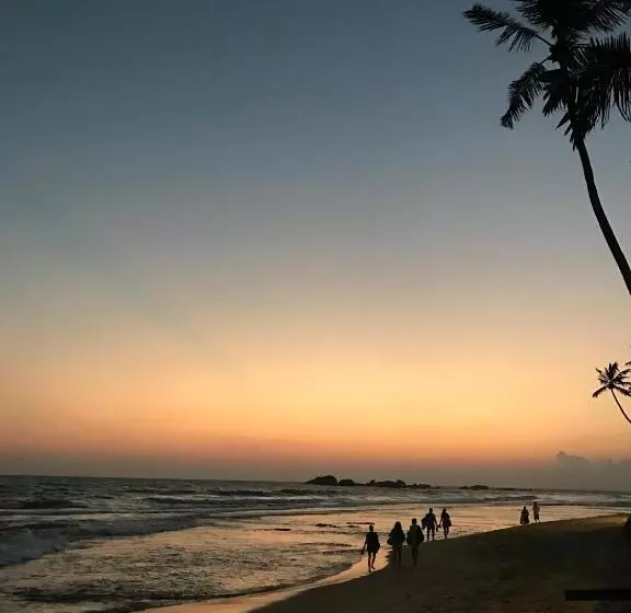 Fotos del hotel Paradiso:  9