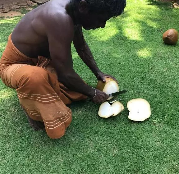 Fotos del hotel Paradiso:  24