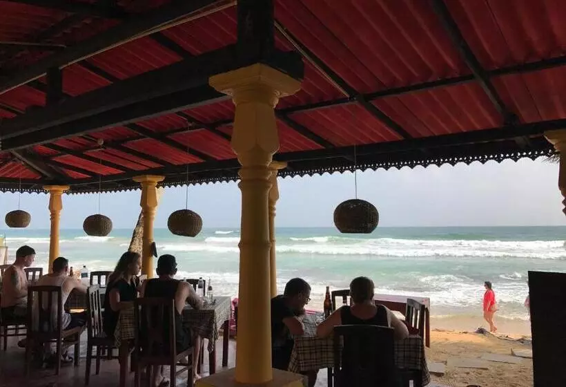 Fotos del hotel Paradiso:  5