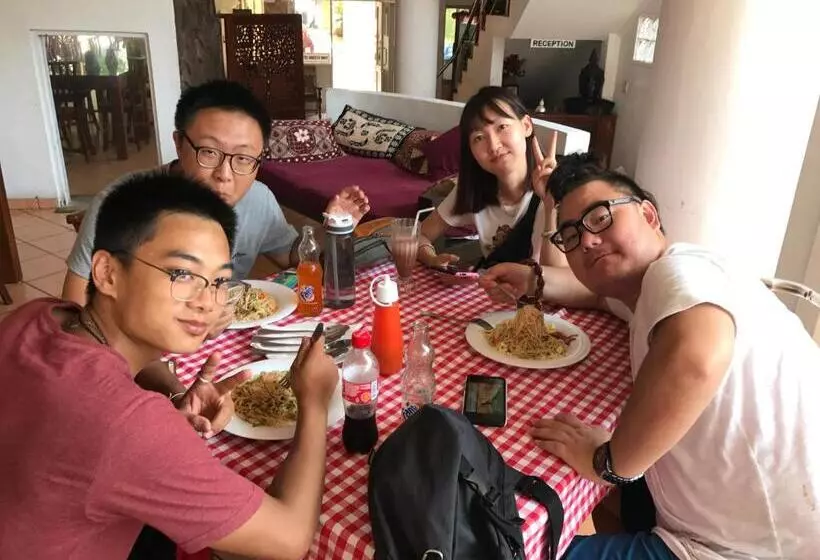 Fotos del hotel Paradiso:  13