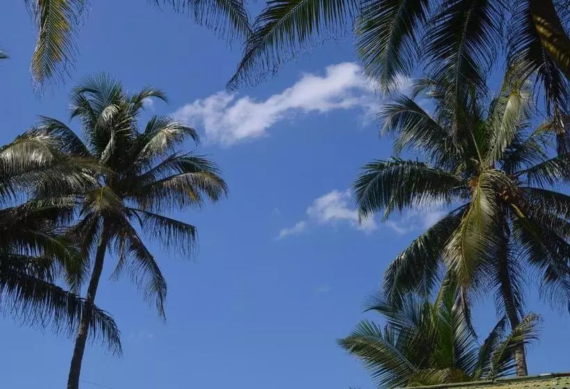 Fotos del hotel Paradiso:  12