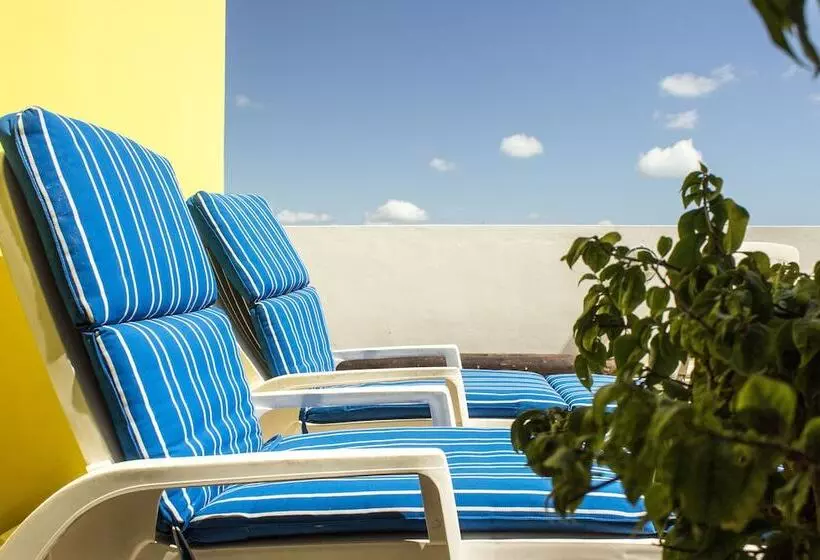 Fotos del hotel Sol Playa:  3