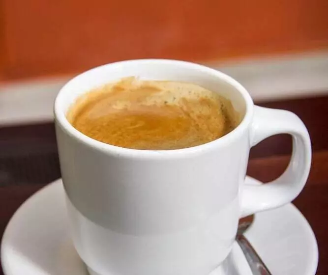 Fotos del hotel Sol Playa:  11