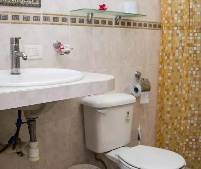 Fotos del hotel Sol Playa:  10