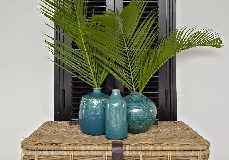 Fotos del hotel Maison Vy:  5