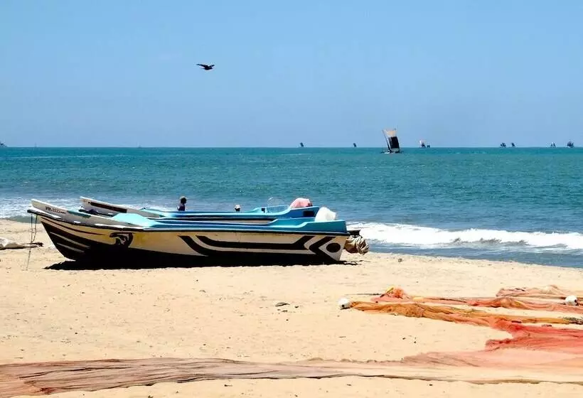 Fotos del hotel Reggie S Guesthouse:  8