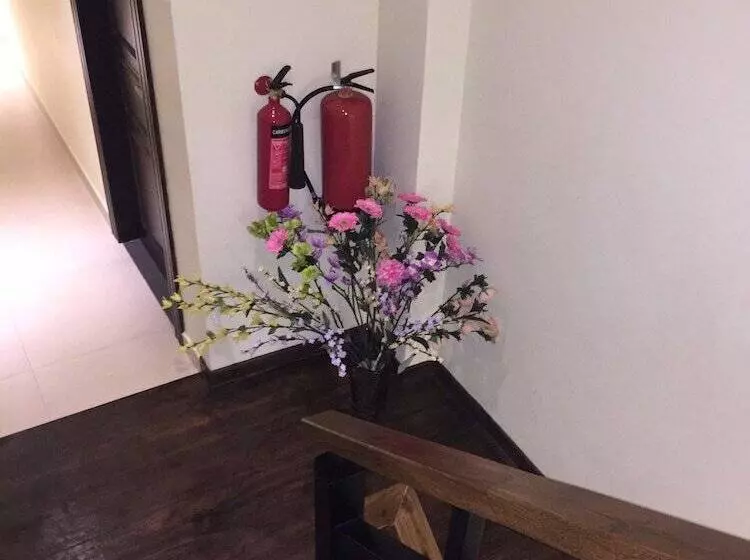 Fotos del hotel Splendid Holiday Guest House:  6