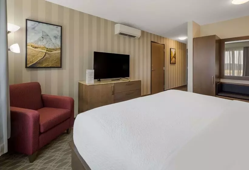 Fotos del hotel Wyndham Garden Calgary Airport:  21