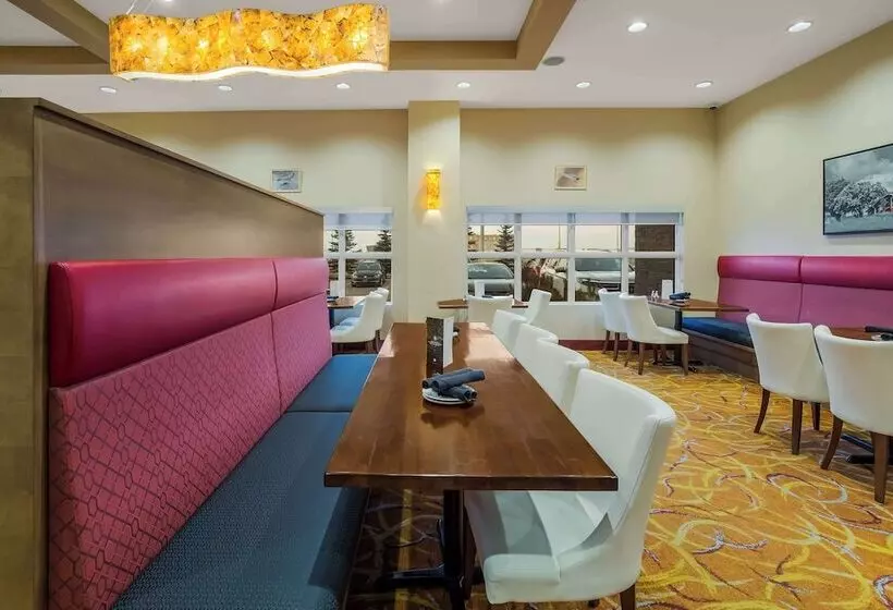 Fotos del hotel Wyndham Garden Calgary Airport:  16