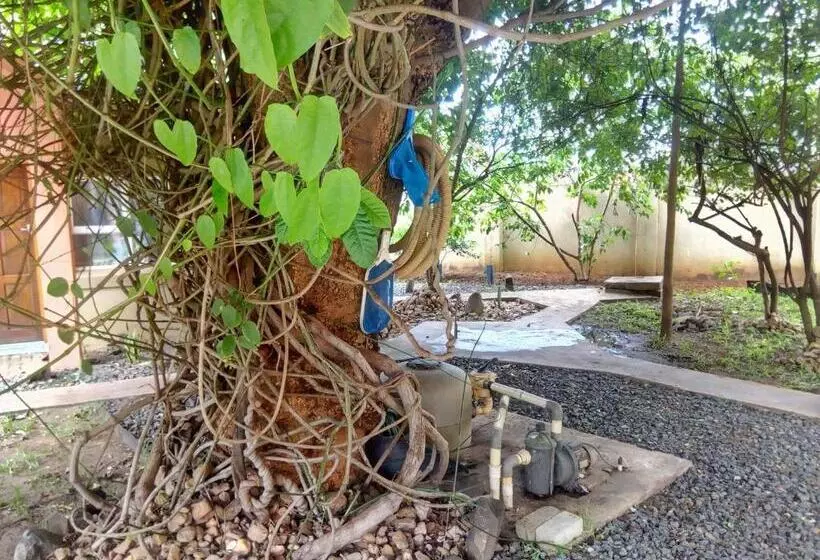 Fotos del hotel Tasha Lodge And Tours:  5