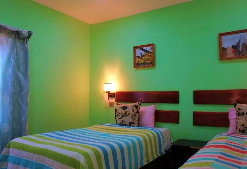 Fotos del hotel Tasha Lodge And Tours:  12