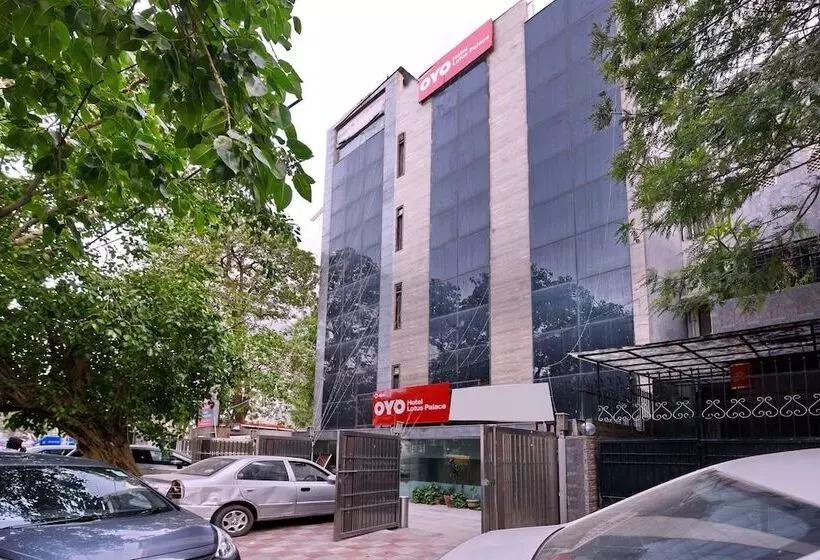 Capital O 464  Lotus Palace