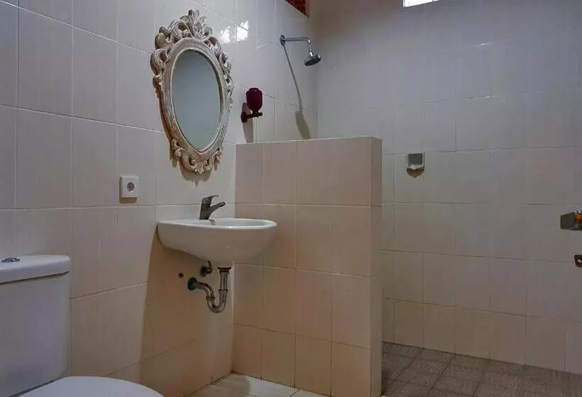 Fotos del hotel Swan Inn:  4