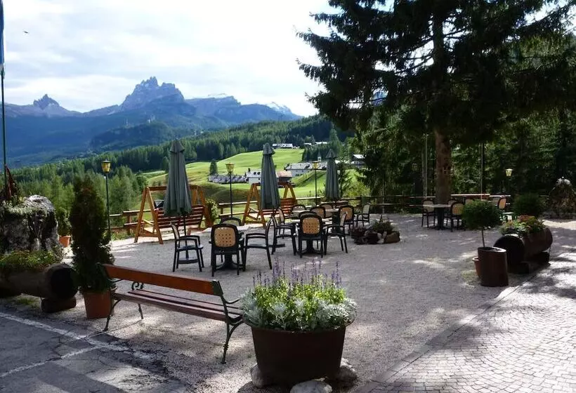 Fotos del hotel Nord:  16