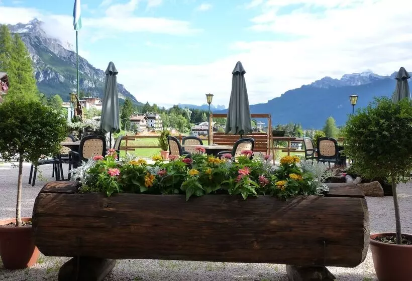 Fotos del hotel Nord:  5