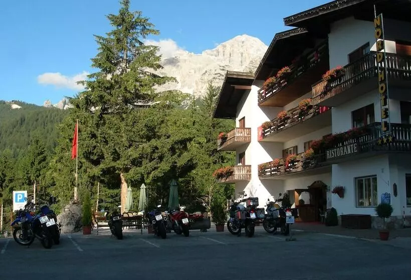 Fotos del hotel Nord:  22