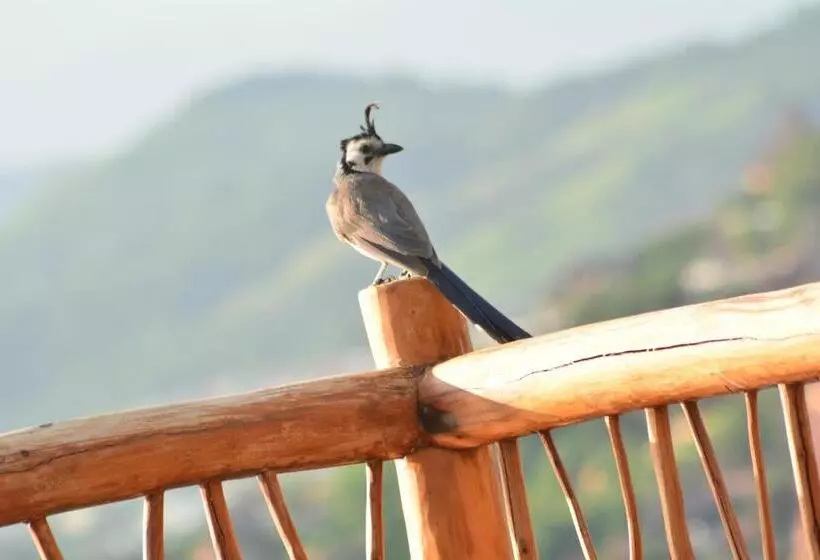 Fotos del hotel Pacifica Resort Ixtapa:  20