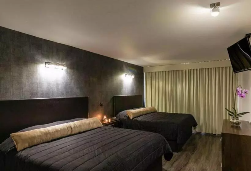 Fotos del hotel Suites Meson Del Cid:  10