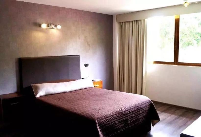 Fotos del hotel Suites Meson Del Cid:  20