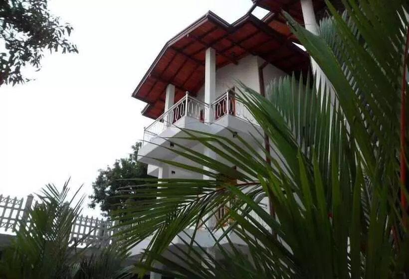 Fotos del hotel Papaa Palace:  7