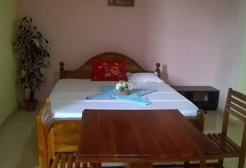 Fotos del hotel Papaa Palace:  23