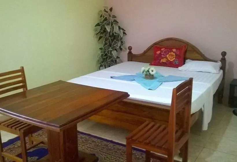 Fotos del hotel Papaa Palace:  24