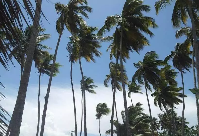 Fotos del hotel El Bohio Residences:  8