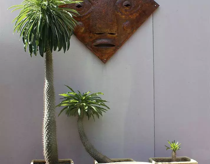 Fotos del hotel Etambi Garni:  10