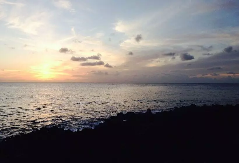 Fotos del hotel Casa De Las Flores Tropical:  4