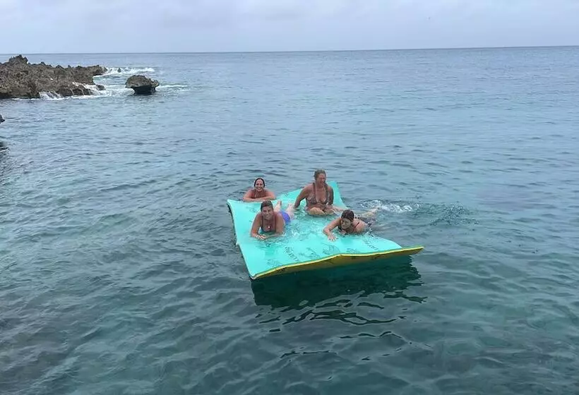 Fotos del hotel Casa De Las Flores Tropical:  13