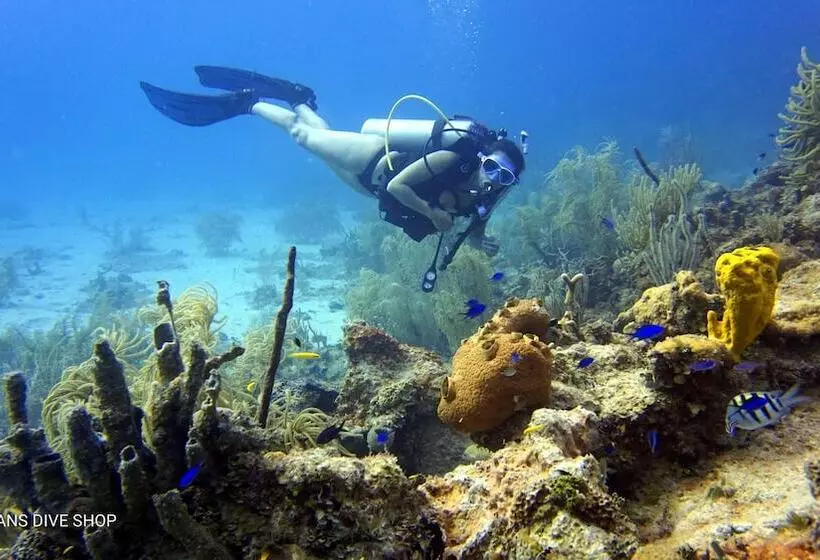 Fotos del hotel Casa De Las Flores Tropical:  3