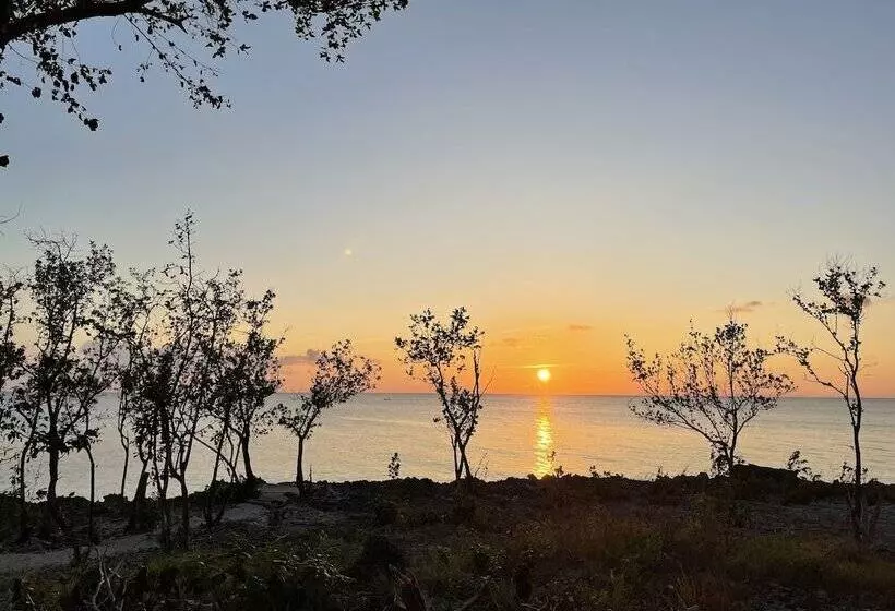 Fotos del hotel Casa De Las Flores Tropical:  6