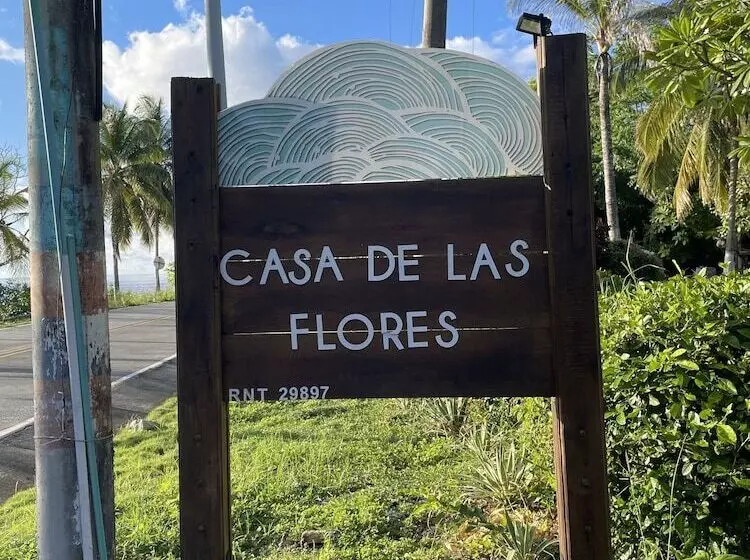 Fotos del hotel Casa De Las Flores Tropical:  5