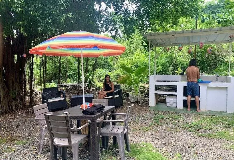 Fotos del hotel Casa De Las Flores Tropical:  15