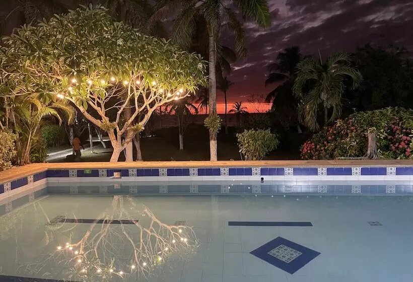 Casa De Las Flores Tropical