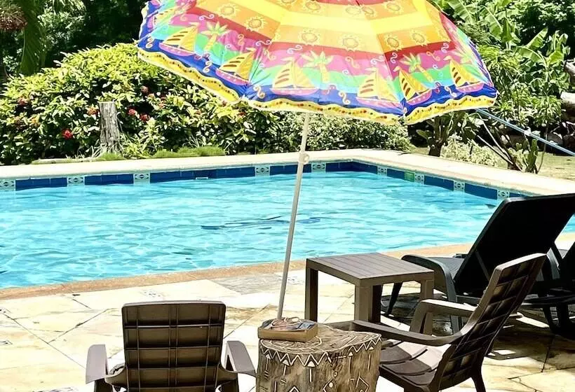 Fotos del hotel Casa De Las Flores Tropical:  2