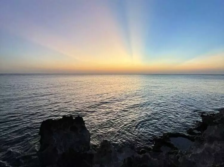 Fotos del hotel Casa De Las Flores Tropical:  7