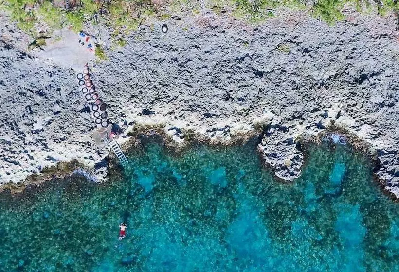 Fotos del hotel Casa De Las Flores Tropical:  12