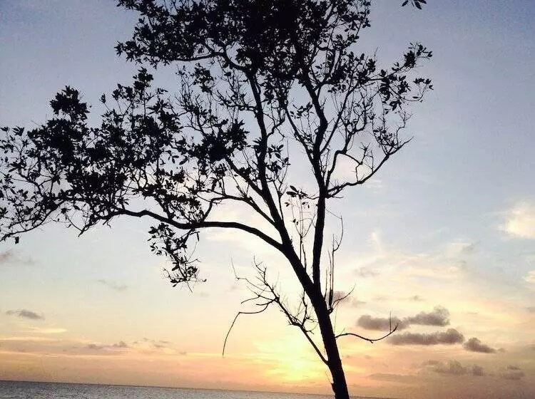 Fotos del hotel Casa De Las Flores Tropical:  8