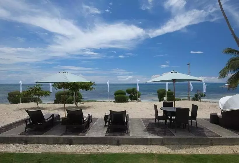 Fotos del hotel Dive Thru Scuba Resort:  13