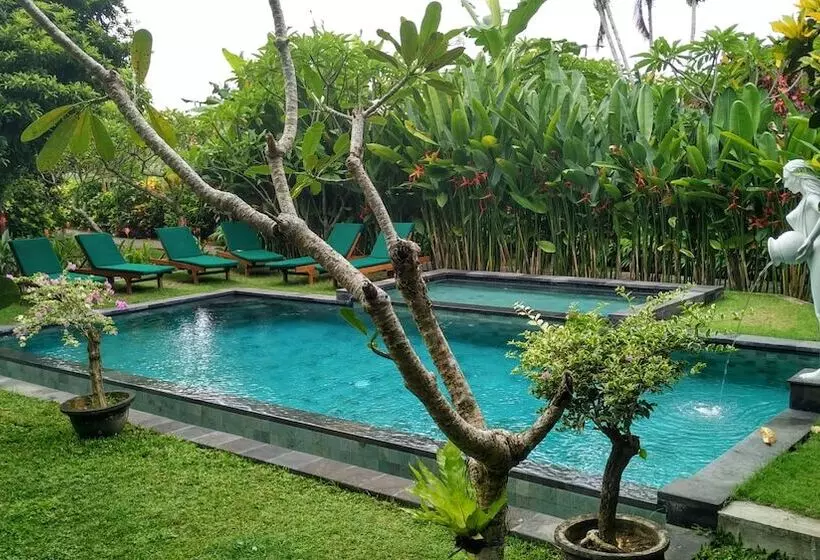 Fotos del hotel Nyoman Sandi Guest House:  6