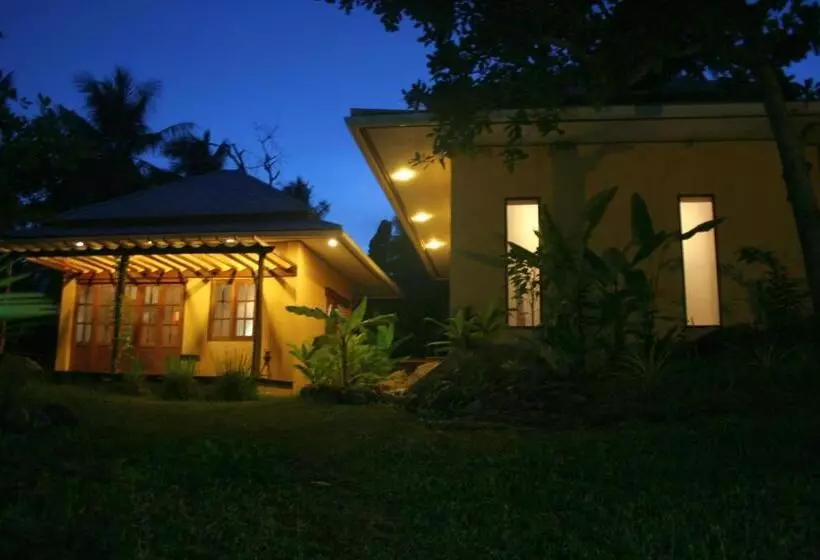 Fotos del hotel La Cigale:  6