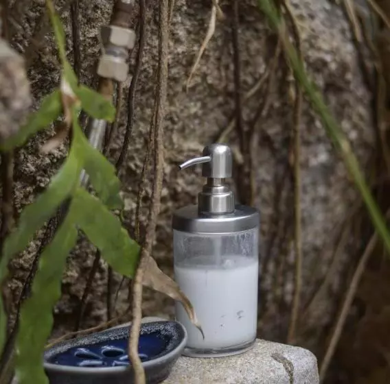 Fotos del hotel La Cigale:  5