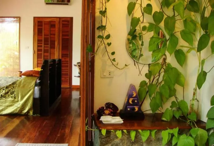 Fotos del hotel La Cigale:  22