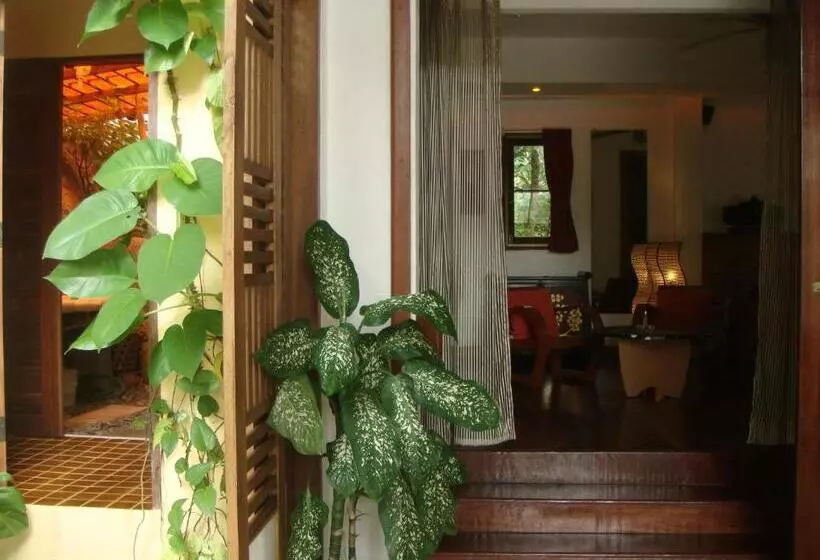 Fotos del hotel La Cigale:  25