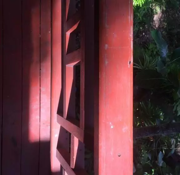 Fotos del hotel La Cigale:  14